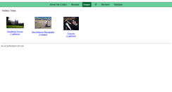 Desktop Screenshot of gallery.louthompson.com